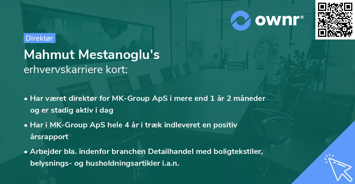 Mahmut Mestanoglu's erhvervskarriere kort