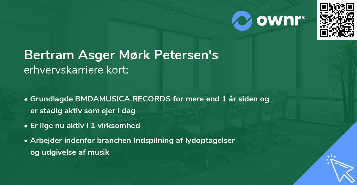 Bertram Asger Mørk Petersen's erhvervskarriere kort