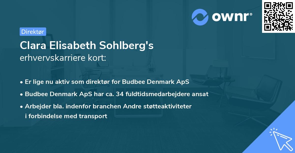 Clara Elisabeth Sohlberg's erhvervskarriere kort