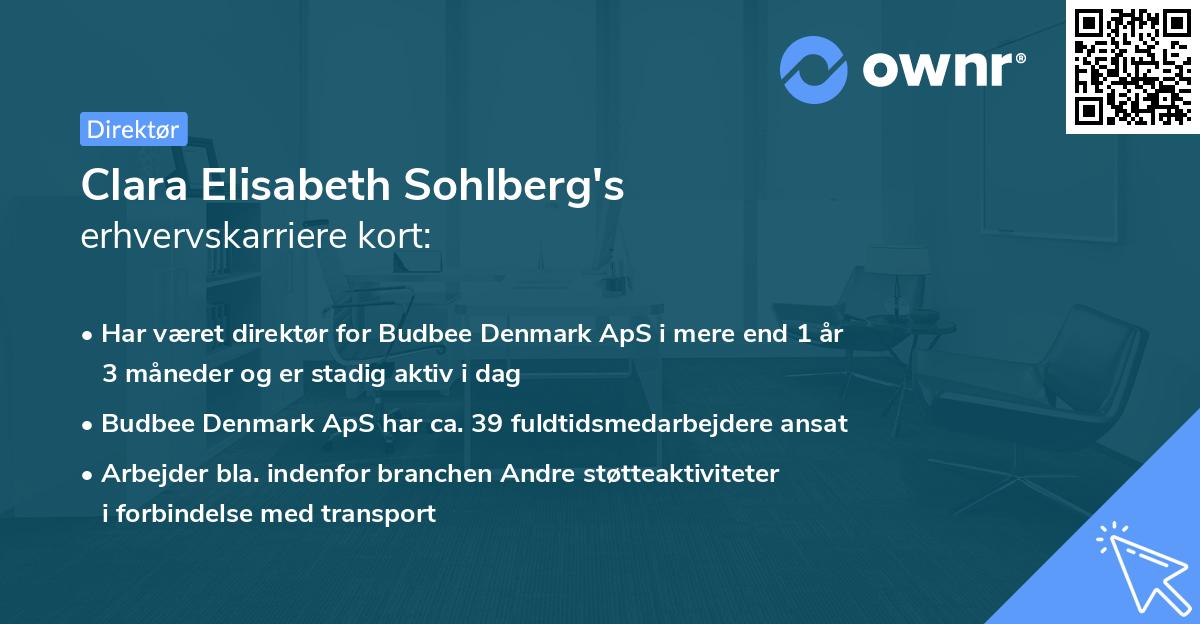 Clara Elisabeth Sohlberg's erhvervskarriere kort