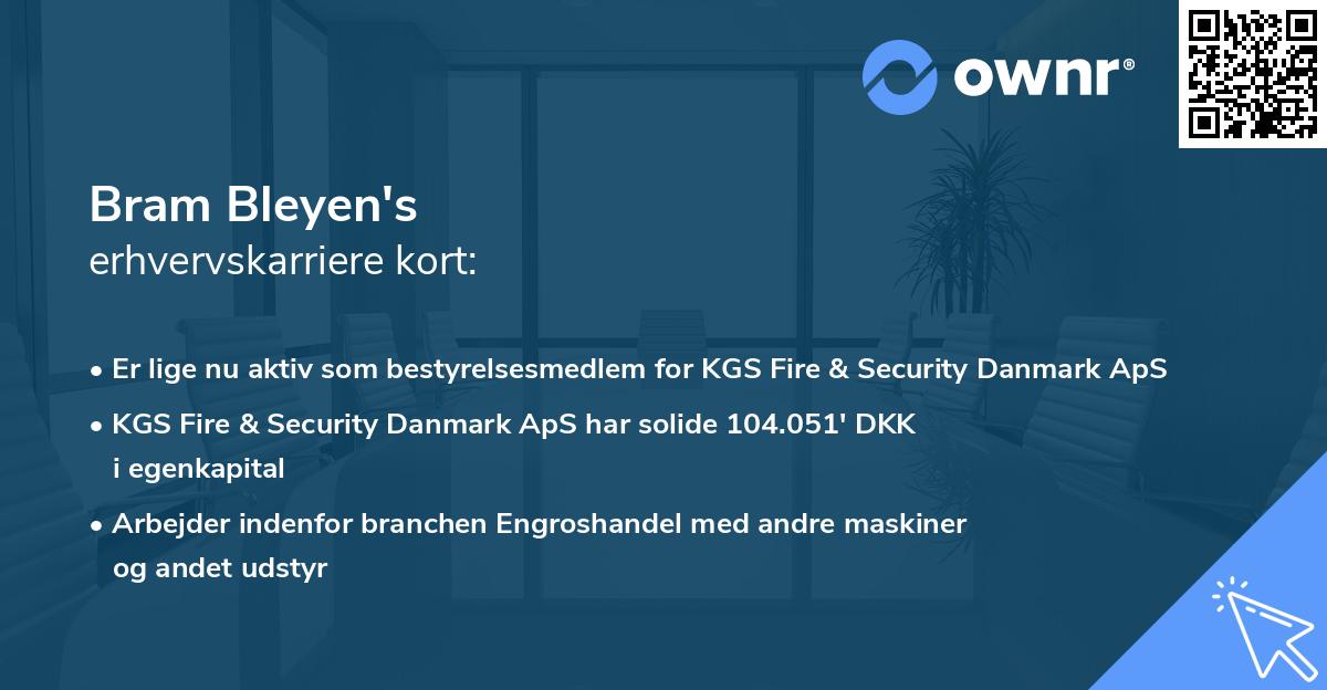 Bram Bleyen's erhvervskarriere kort