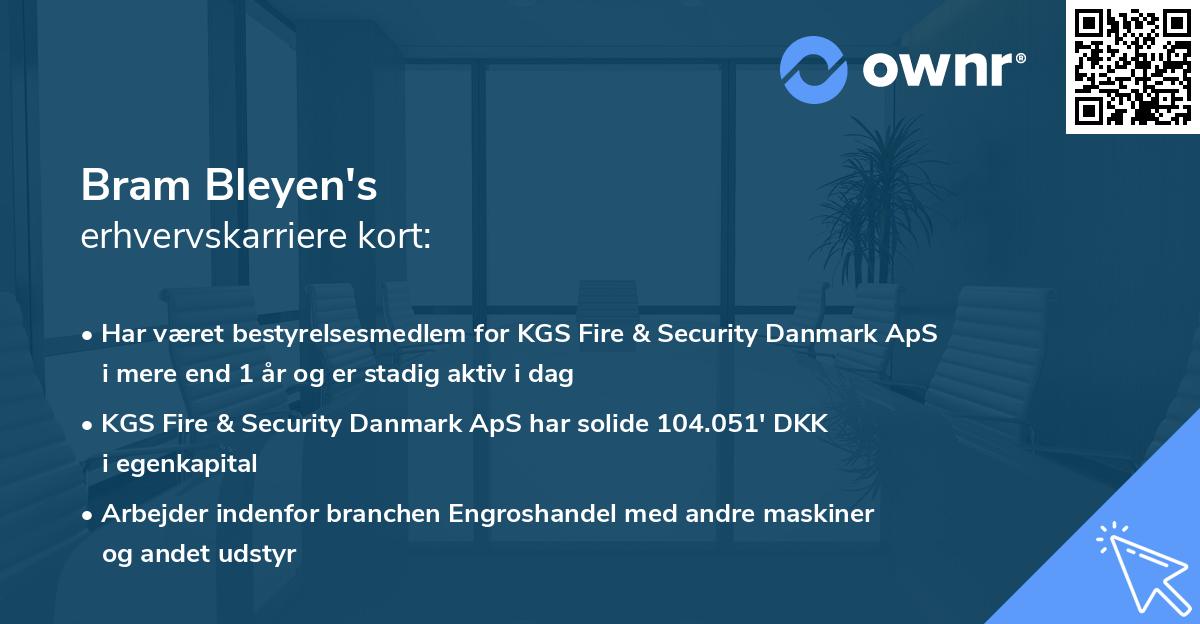 Bram Bleyen's erhvervskarriere kort