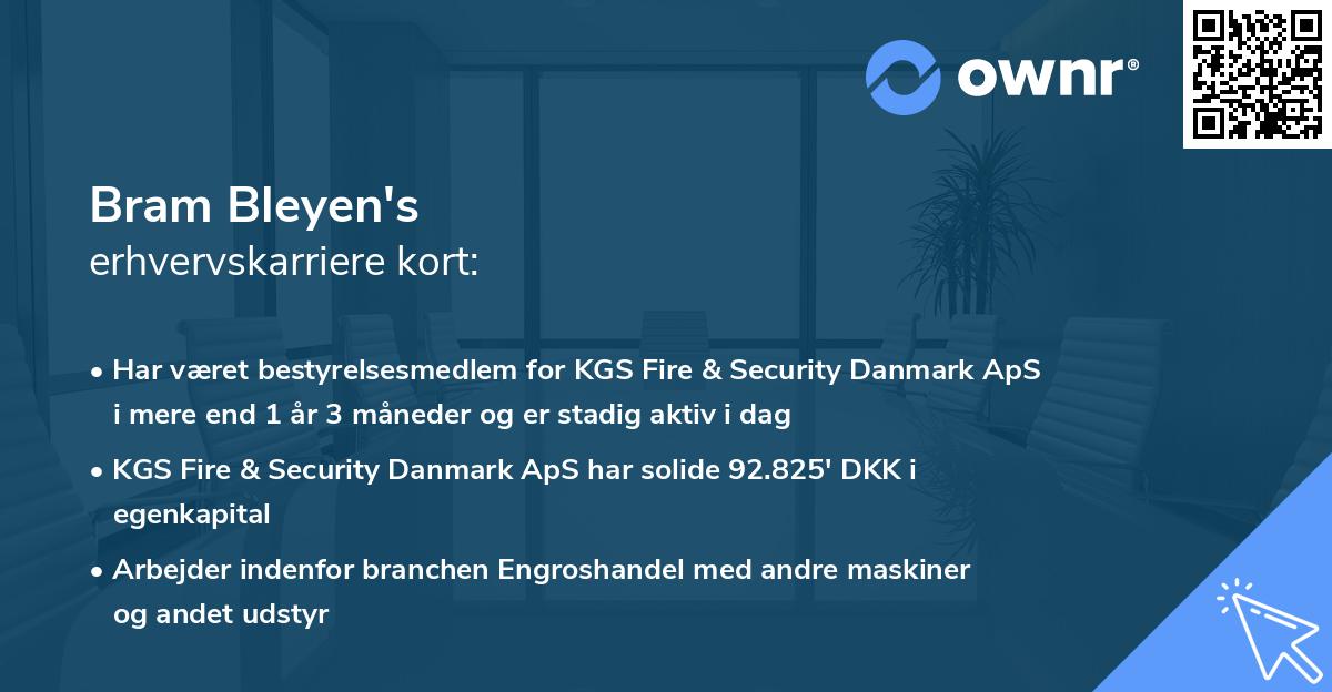 Bram Bleyen's erhvervskarriere kort