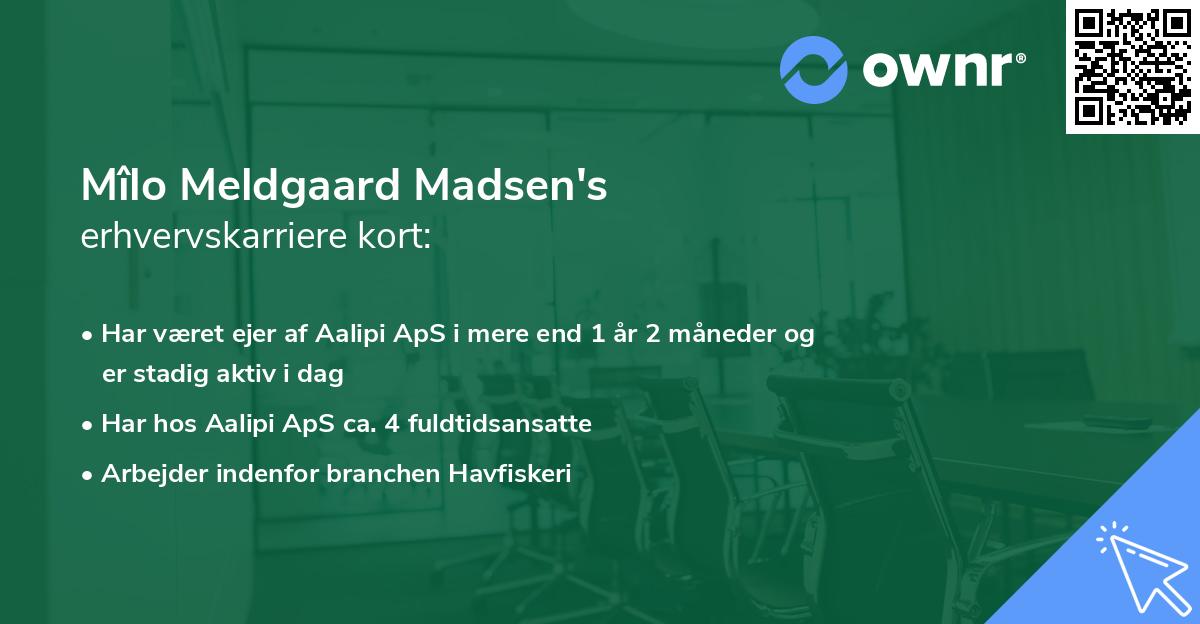 Mîlo Meldgaard Madsen's erhvervskarriere kort