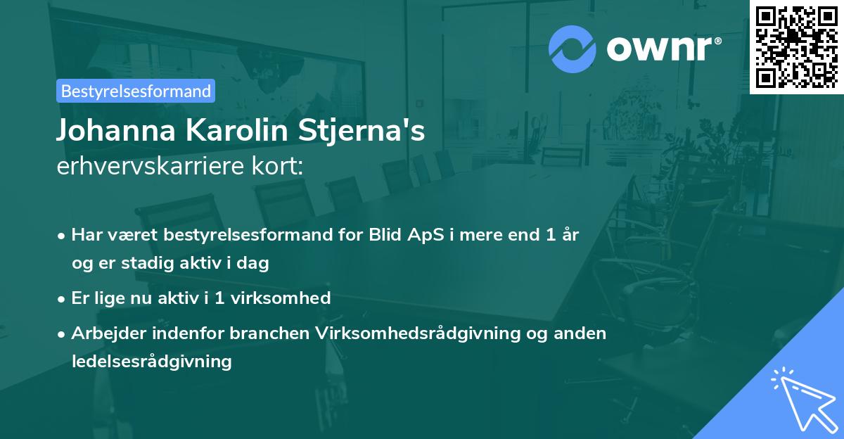 Johanna Karolin Stjerna's erhvervskarriere kort