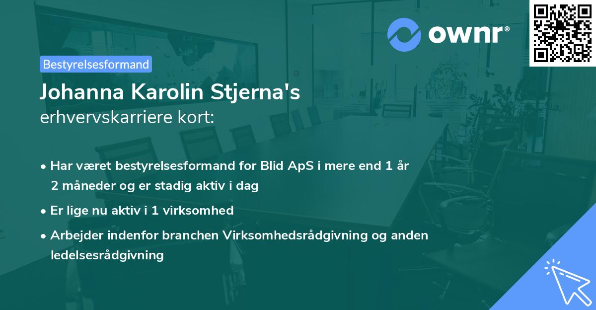 Johanna Karolin Stjerna's erhvervskarriere kort
