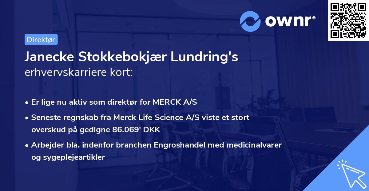 Janecke Stokkebokjær Lundring's erhvervskarriere kort