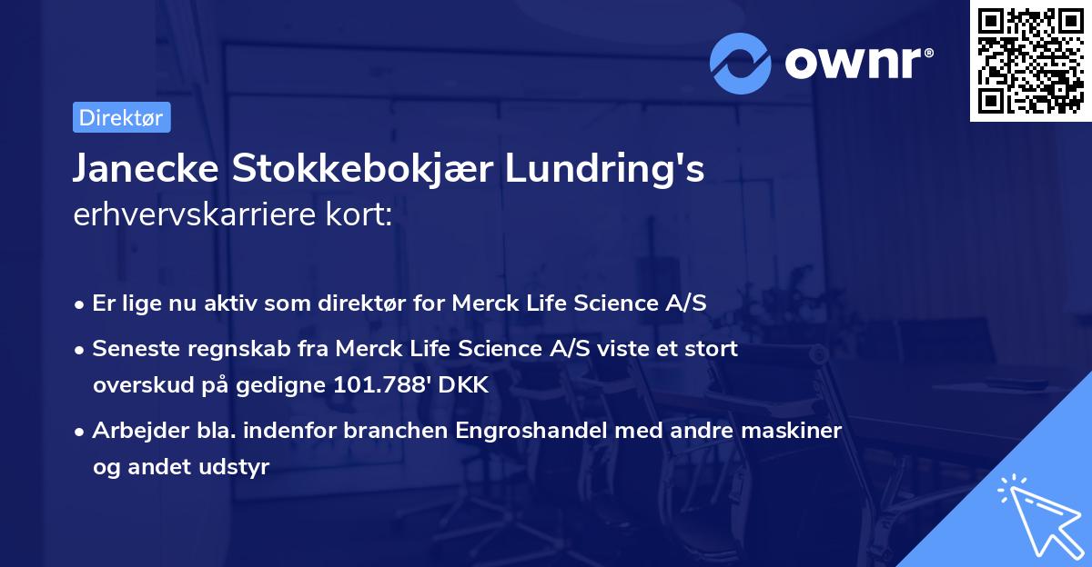 Janecke Stokkebokjær Lundring's erhvervskarriere kort