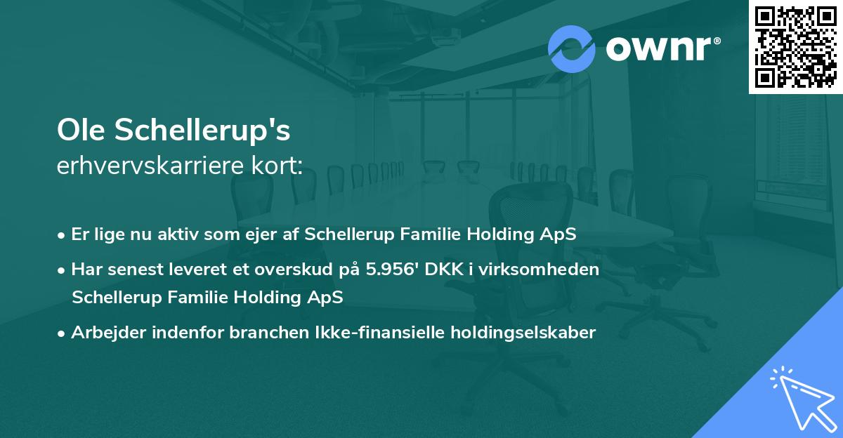 Ole Schellerup's erhvervskarriere kort