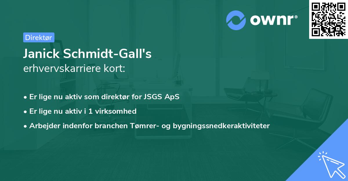 Janick Schmidt-Gall's erhvervskarriere kort