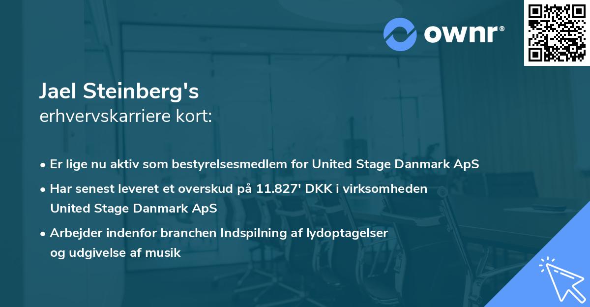 Jael Steinberg's erhvervskarriere kort