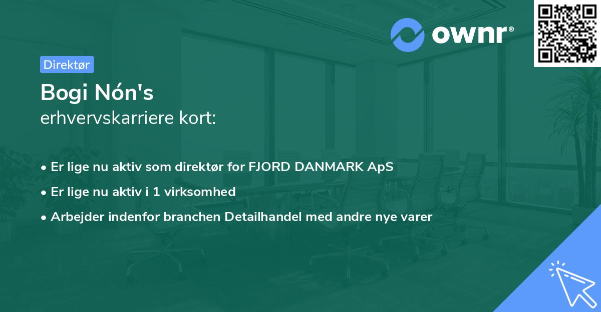Bogi Nón's erhvervskarriere kort