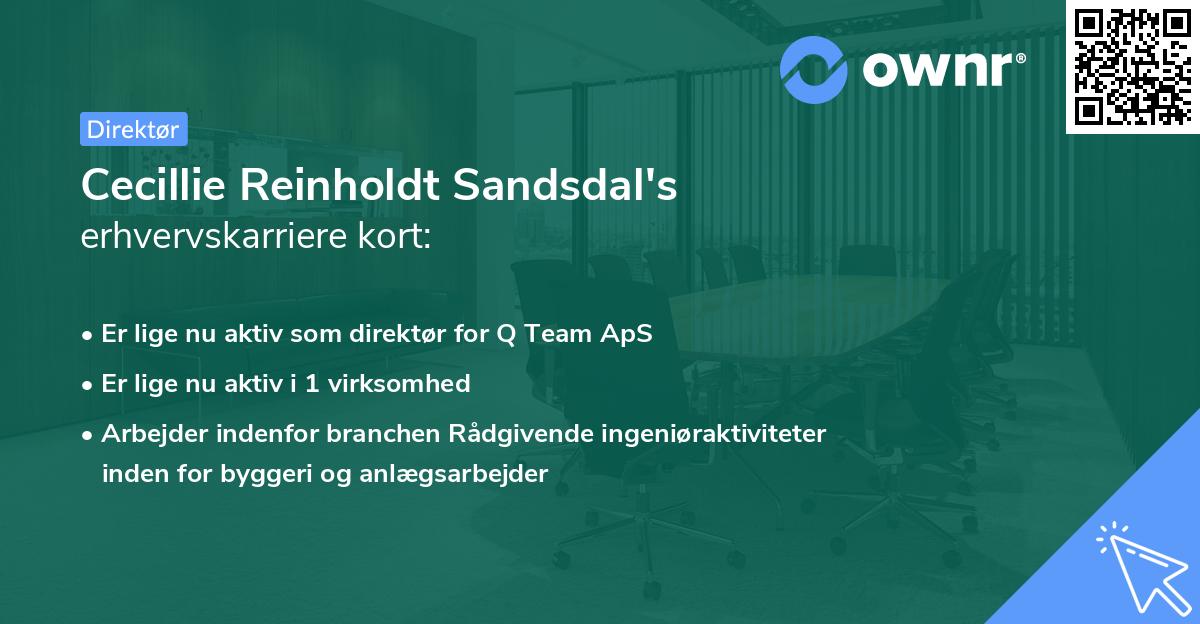 Cecillie Reinholdt Sandsdal's erhvervskarriere kort