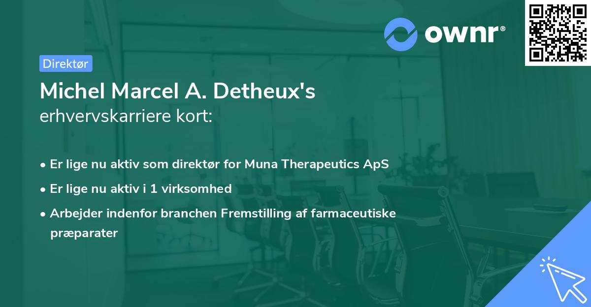 Michel Marcel A. Detheux's erhvervskarriere kort