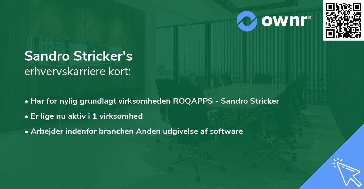 Sandro Stricker's erhvervskarriere kort