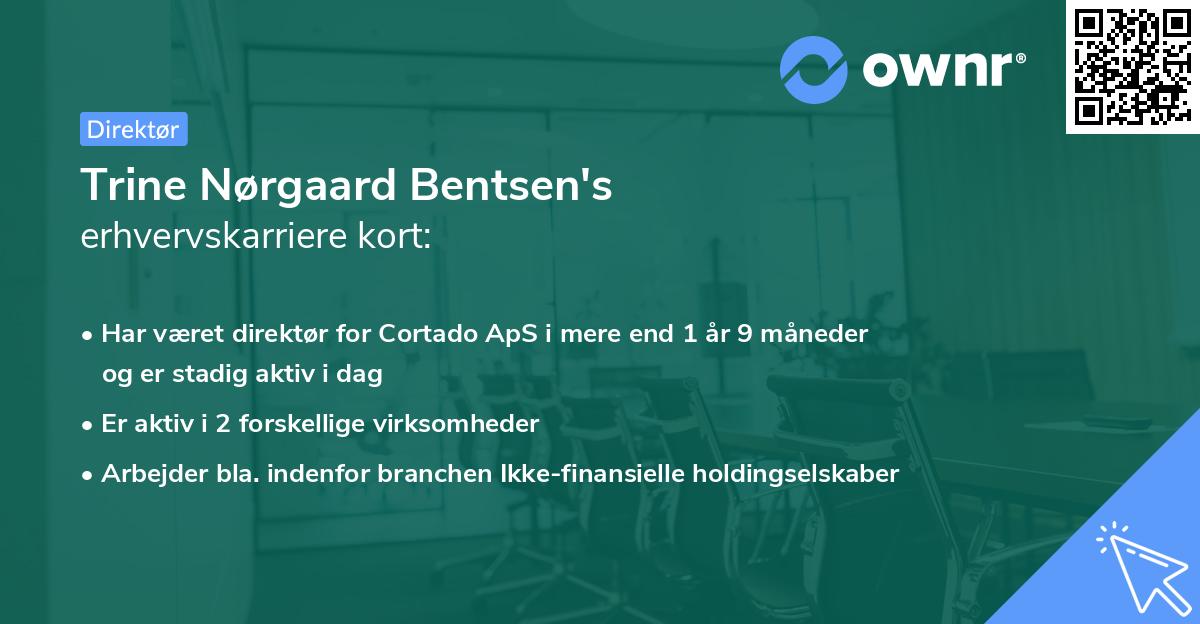 Trine Nørgaard Bentsen's erhvervskarriere kort