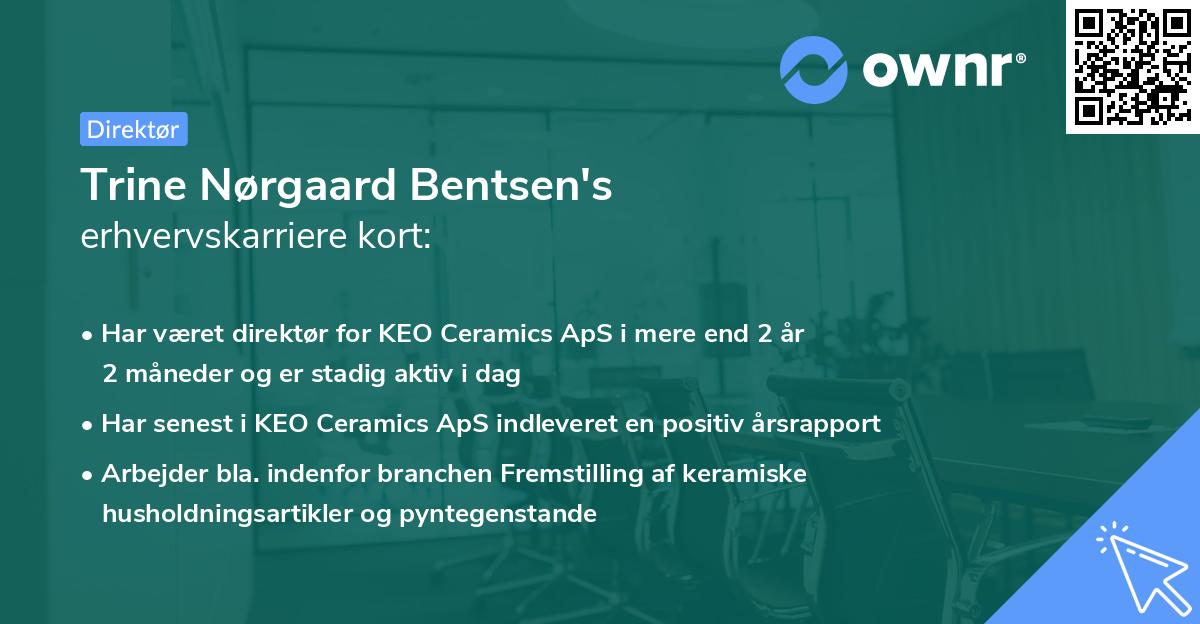 Trine Nørgaard Bentsen's erhvervskarriere kort