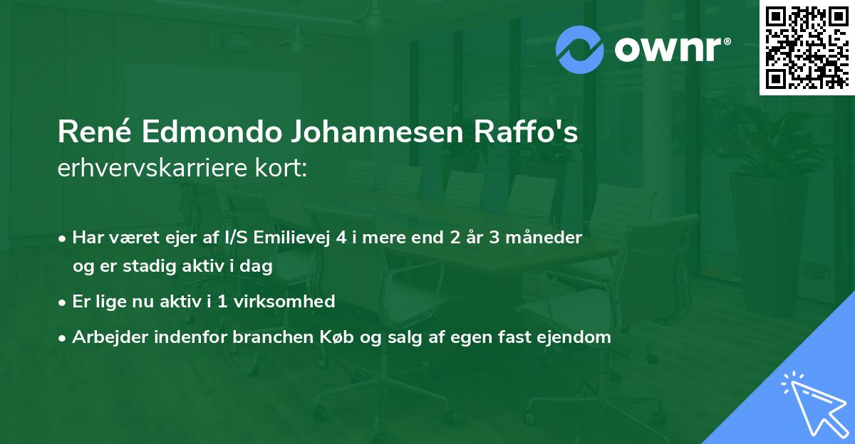 René Edmondo Johannesen Raffo's erhvervskarriere kort