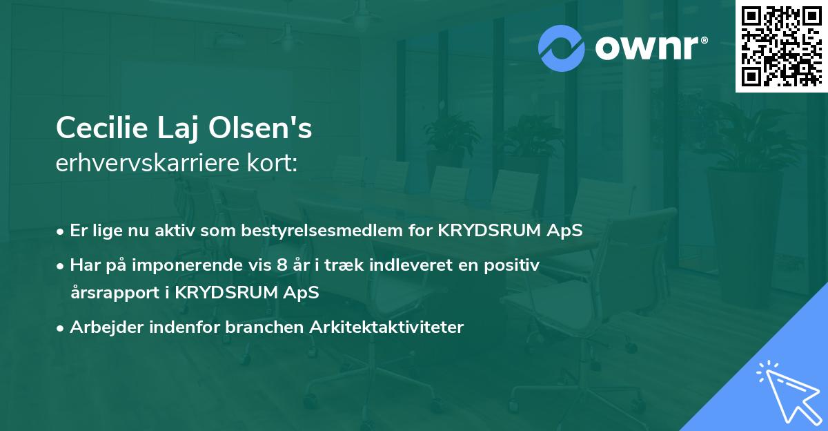 Cecilie Laj Olsen's erhvervskarriere kort