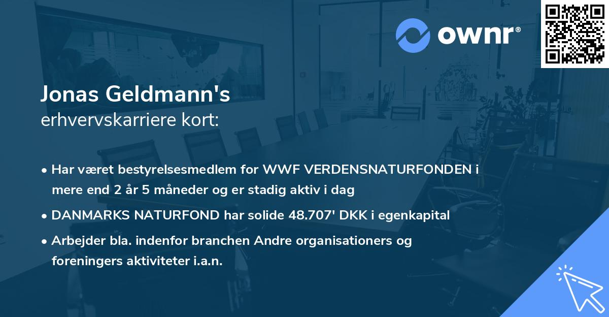 Jonas Geldmann's erhvervskarriere kort