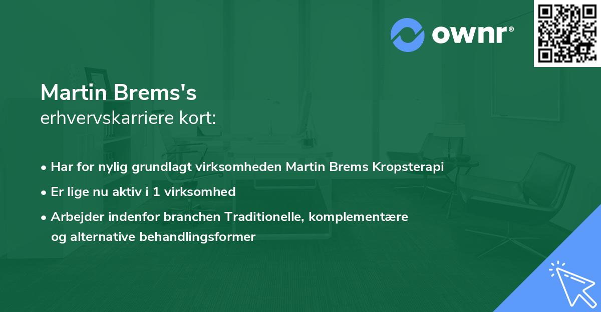 Martin Brems's erhvervskarriere kort