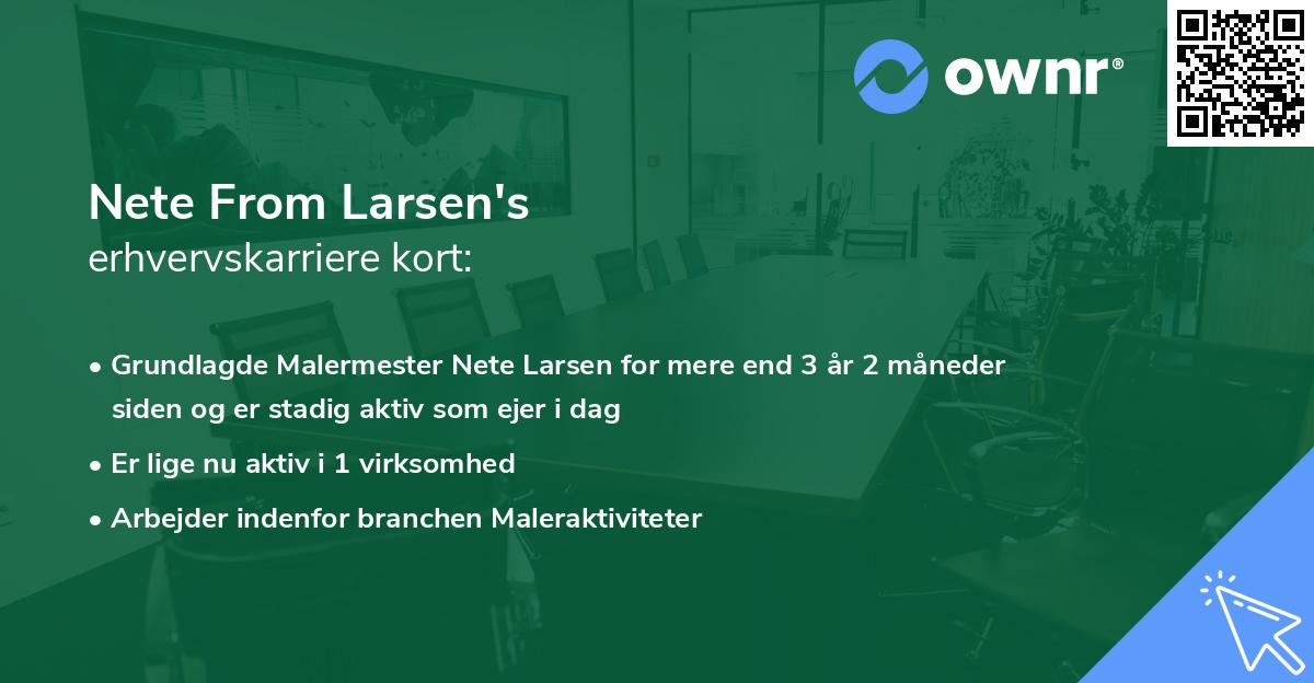 Nete From Larsen's erhvervskarriere kort
