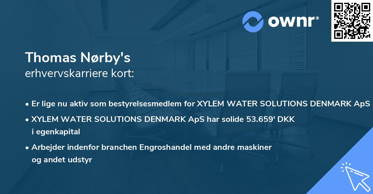 Thomas Nørby's erhvervskarriere kort