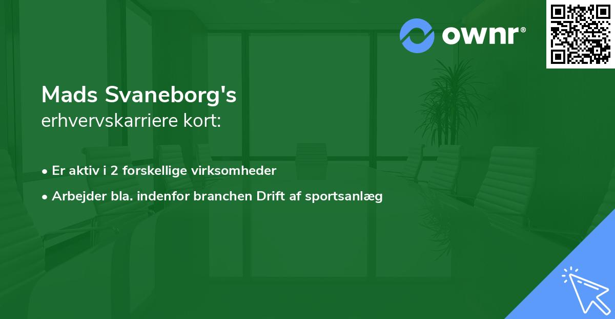 Mads Svaneborg's erhvervskarriere kort