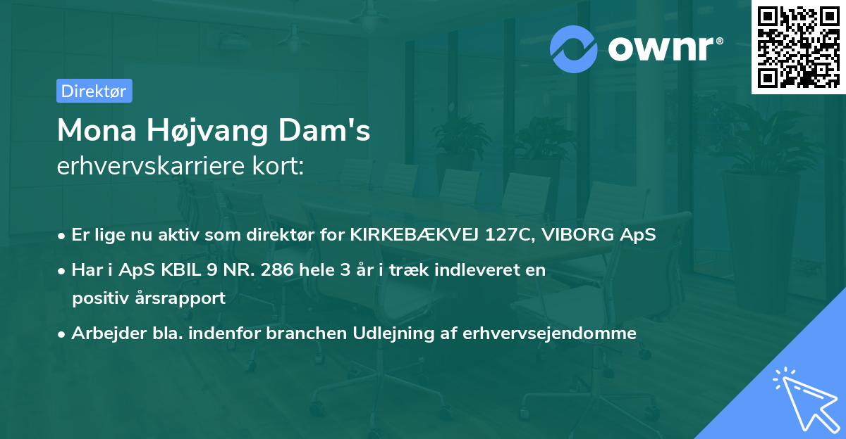 Mona Højvang Dam's erhvervskarriere kort