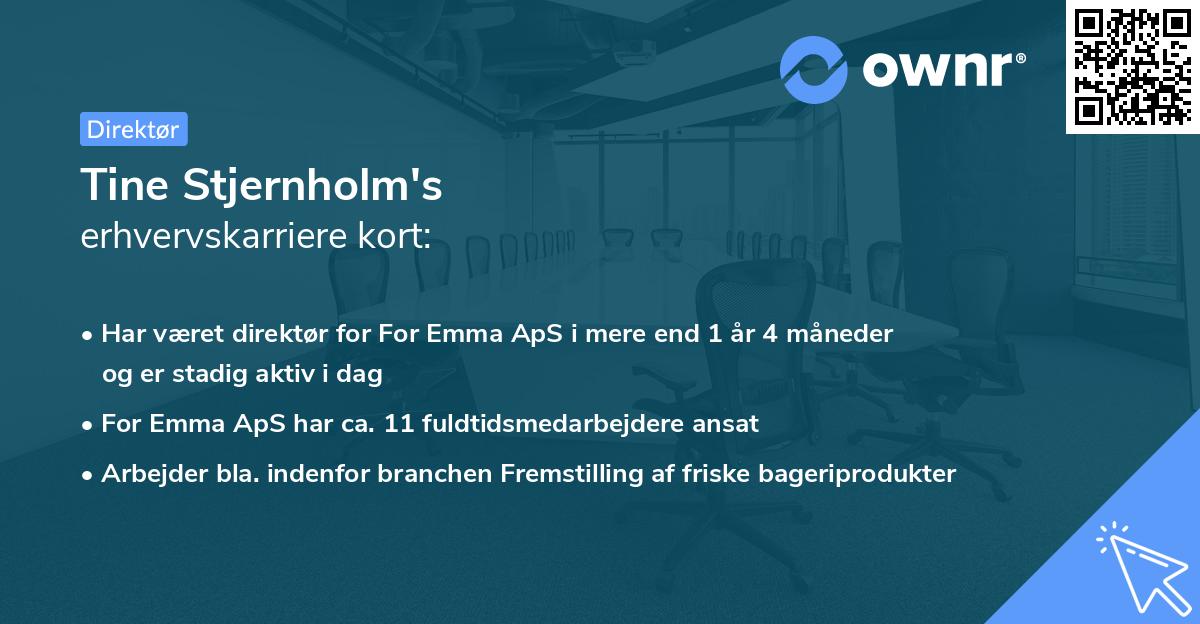 Tine Stjernholm's erhvervskarriere kort