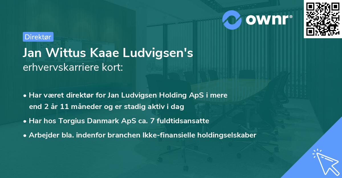 Jan Wittus Kaae Ludvigsen's erhvervskarriere kort
