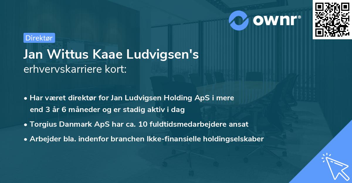 Jan Wittus Kaae Ludvigsen's erhvervskarriere kort