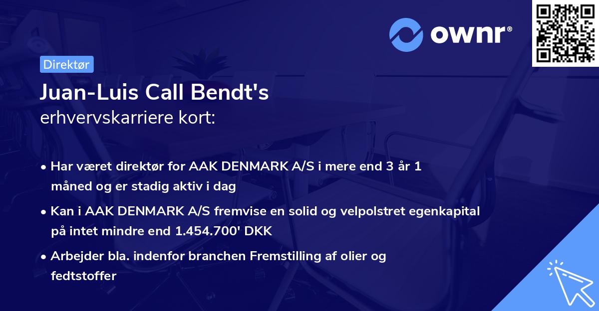 Juan-Luis Call Bendt's erhvervskarriere kort
