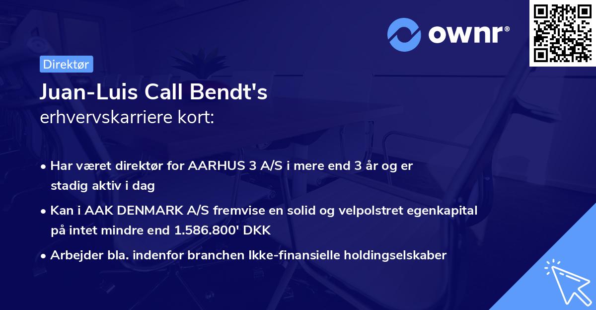 Juan-Luis Call Bendt's erhvervskarriere kort
