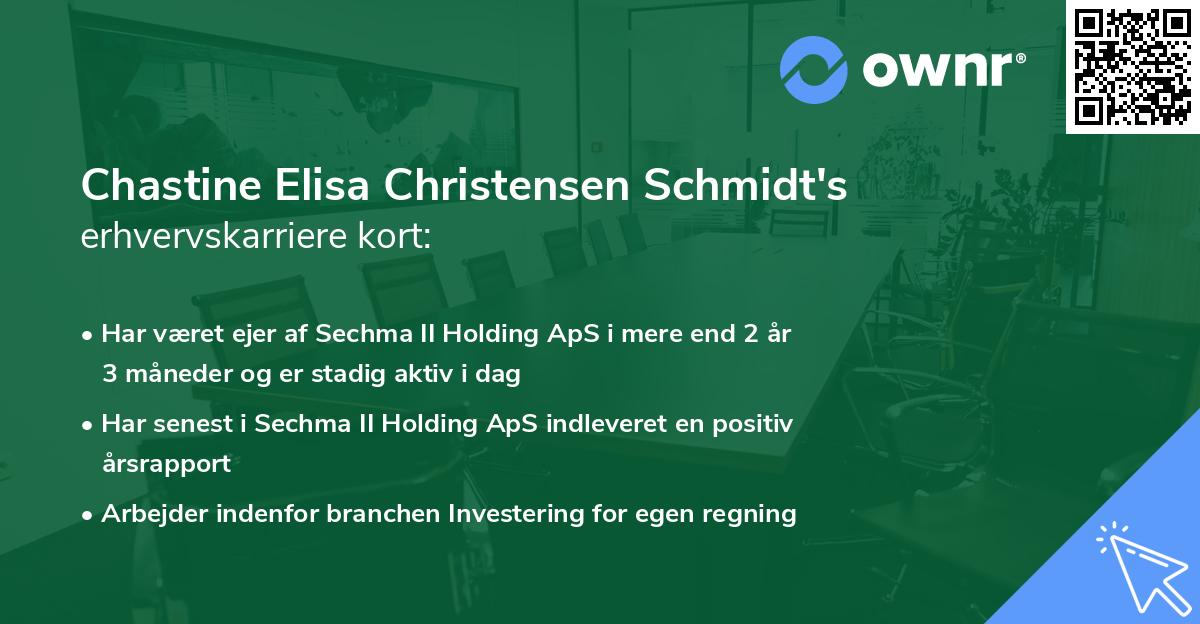 Chastine Elisa Christensen Schmidt's erhvervskarriere kort