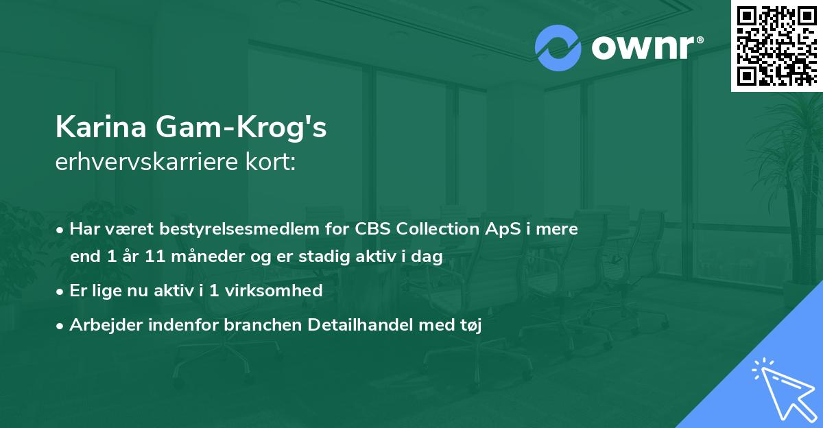 Karina Gam-Krog's erhvervskarriere kort