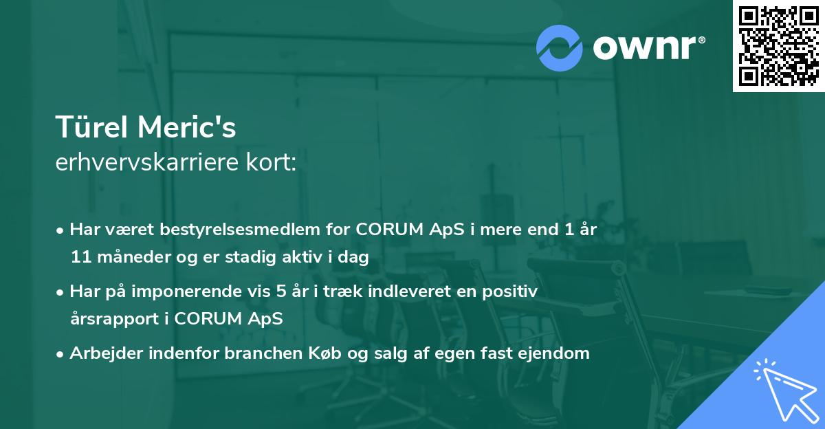 Türel Meric's erhvervskarriere kort