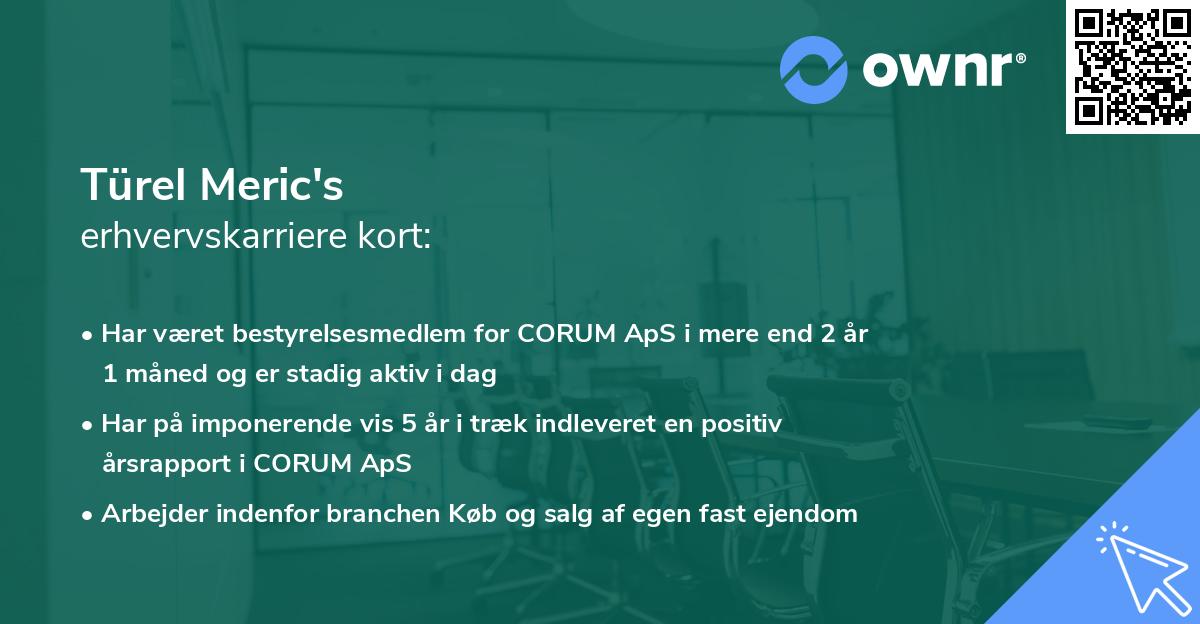 Türel Meric's erhvervskarriere kort
