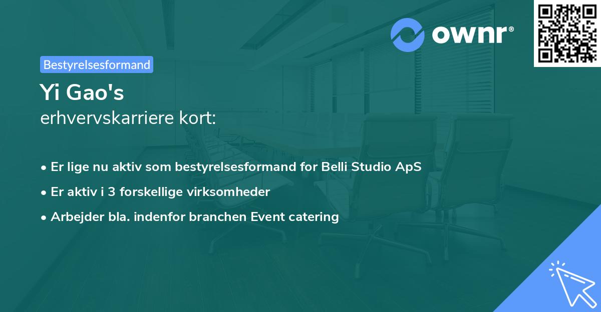 Yi Gao's erhvervskarriere kort