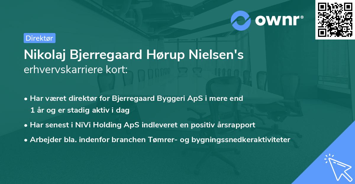 Nikolaj Bjerregaard Hørup Nielsen's erhvervskarriere kort