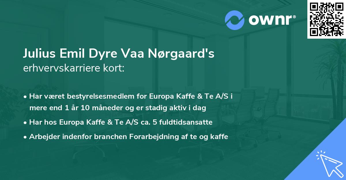 Julius Emil Dyre Vaa Nørgaard's erhvervskarriere kort