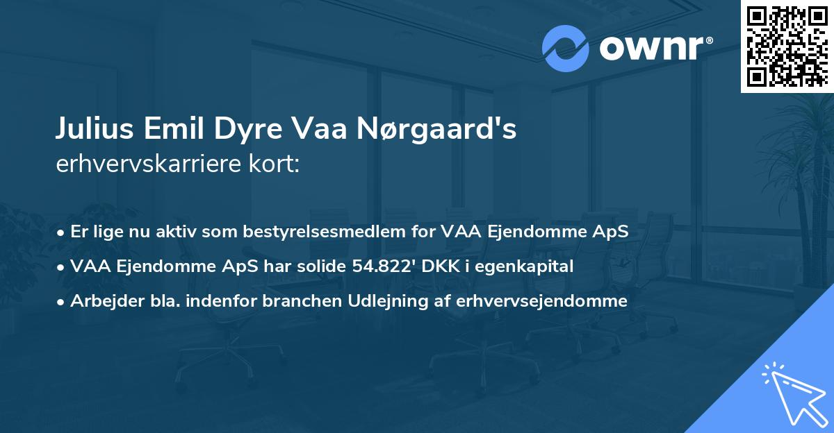Julius Emil Dyre Vaa Nørgaard's erhvervskarriere kort
