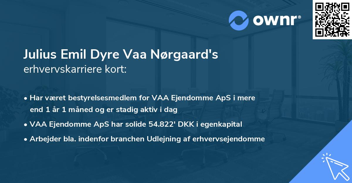 Julius Emil Dyre Vaa Nørgaard's erhvervskarriere kort
