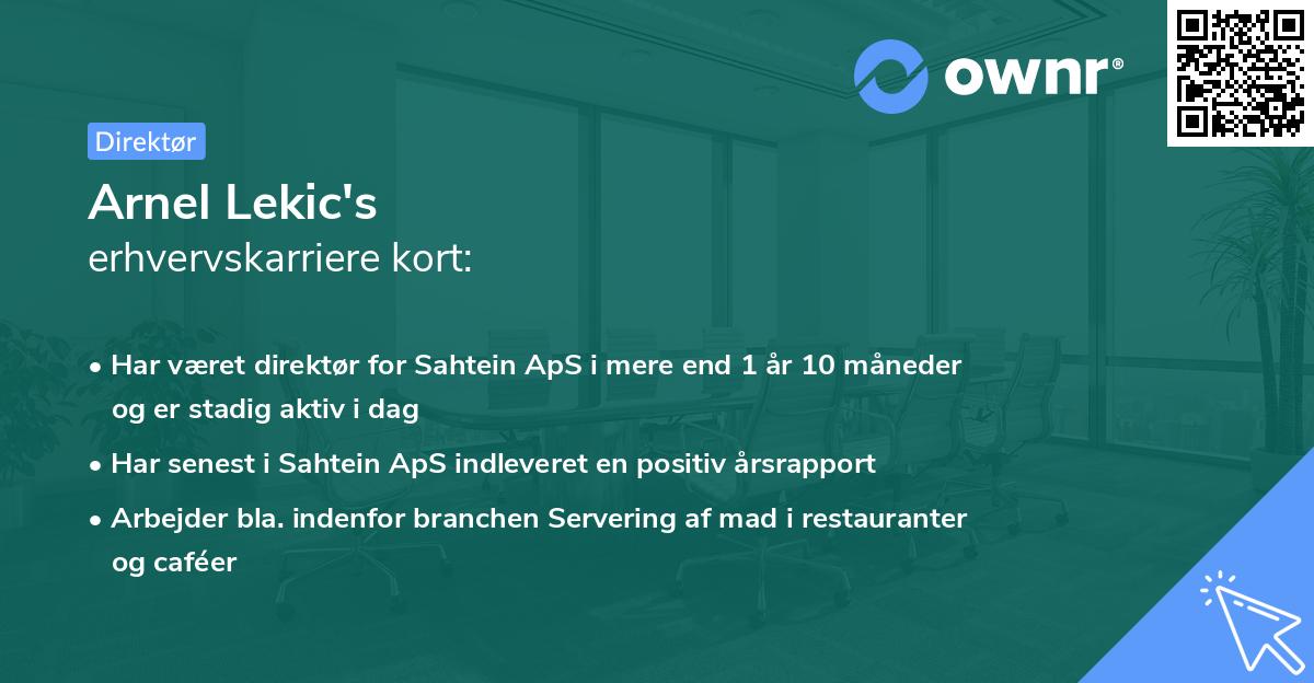 Arnel Lekic's erhvervskarriere kort