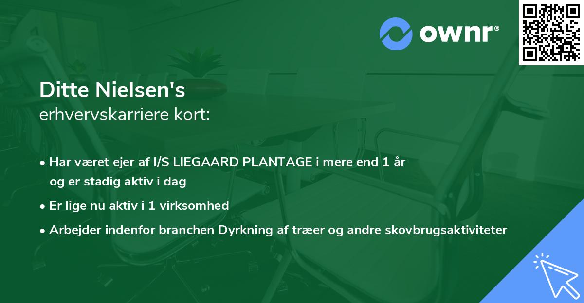 Ditte Nielsen's erhvervskarriere kort