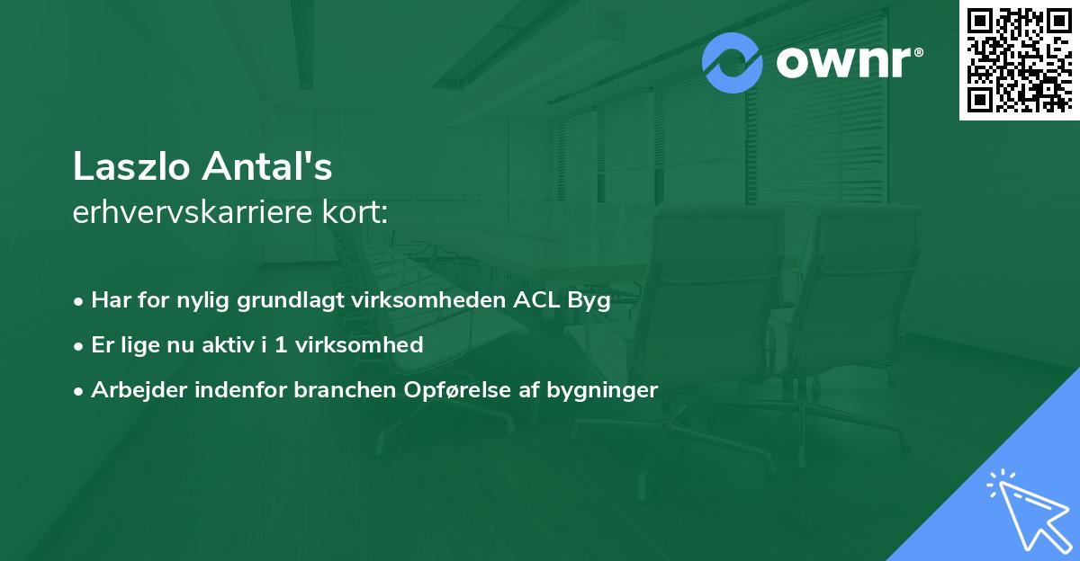 Laszlo Antal's erhvervskarriere kort
