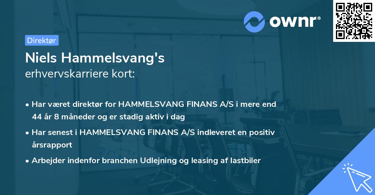 Niels Hammelsvang's erhvervskarriere kort