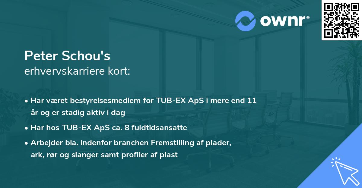 Peter Schou's erhvervskarriere kort