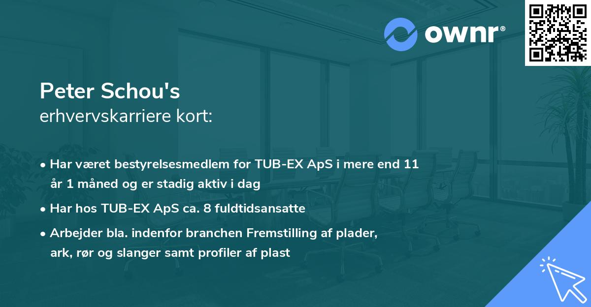 Peter Schou's erhvervskarriere kort