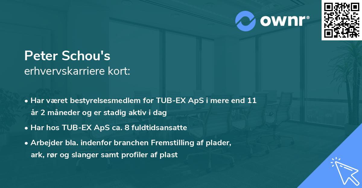 Peter Schou's erhvervskarriere kort